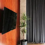 Evolution شقة لقنت