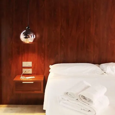 Evolution 阿利坎特