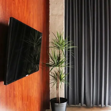 Evolution Apartment Alicante